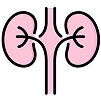 Nephrology
