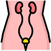 Urology