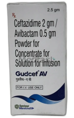 GUDCEF-AV